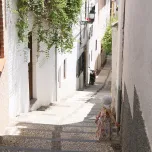Qué ver en el Albaicín real
