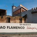 Flamenco en Sacromonte