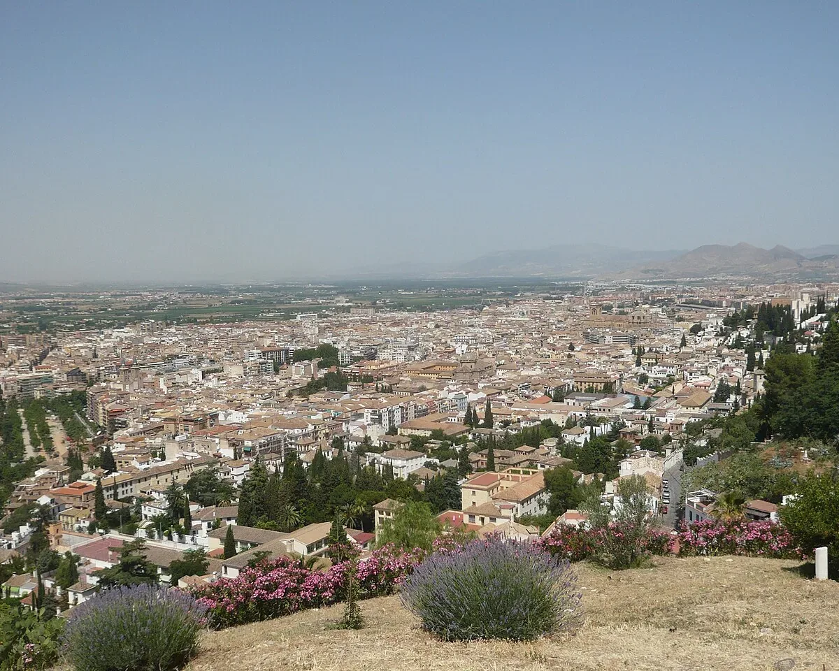 Realejo a pie: patrimonio y arte urbano — Rincones locales